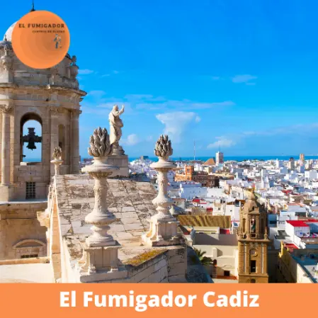 Control de Plagas en Cadiz