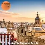 Control de plagas sevilla