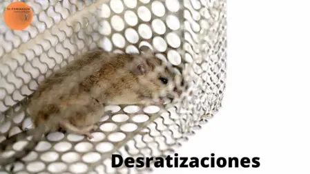 Desratizar Fuengirola